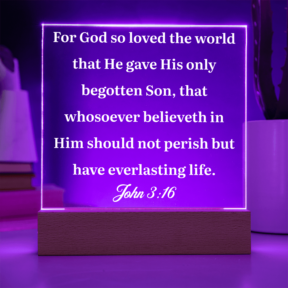ShineOn Fulfillment Jewelry John 3:16 - Acrylic Plaque - GHR1078