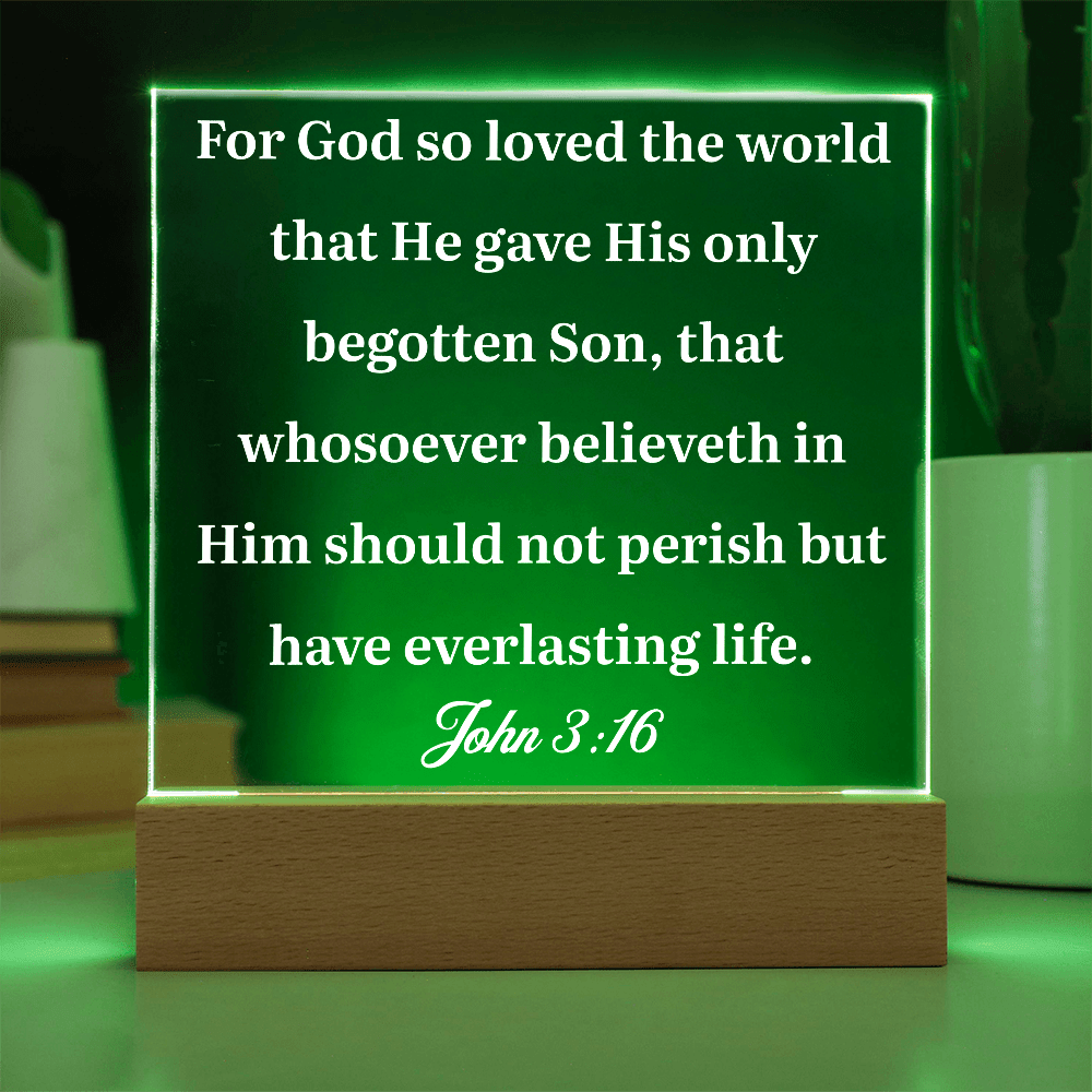 ShineOn Fulfillment Jewelry John 3:16 - Acrylic Plaque - GHR1078