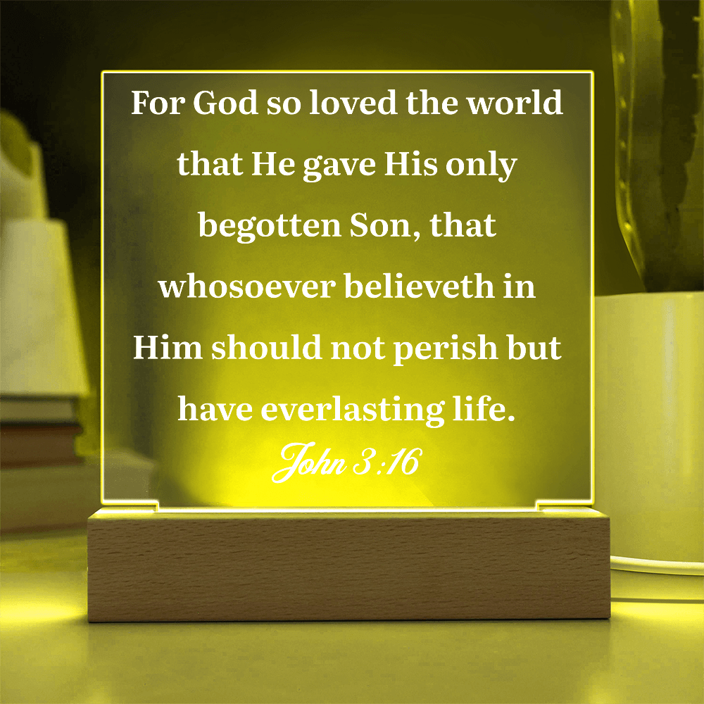 ShineOn Fulfillment Jewelry John 3:16 - Acrylic Plaque - GHR1078