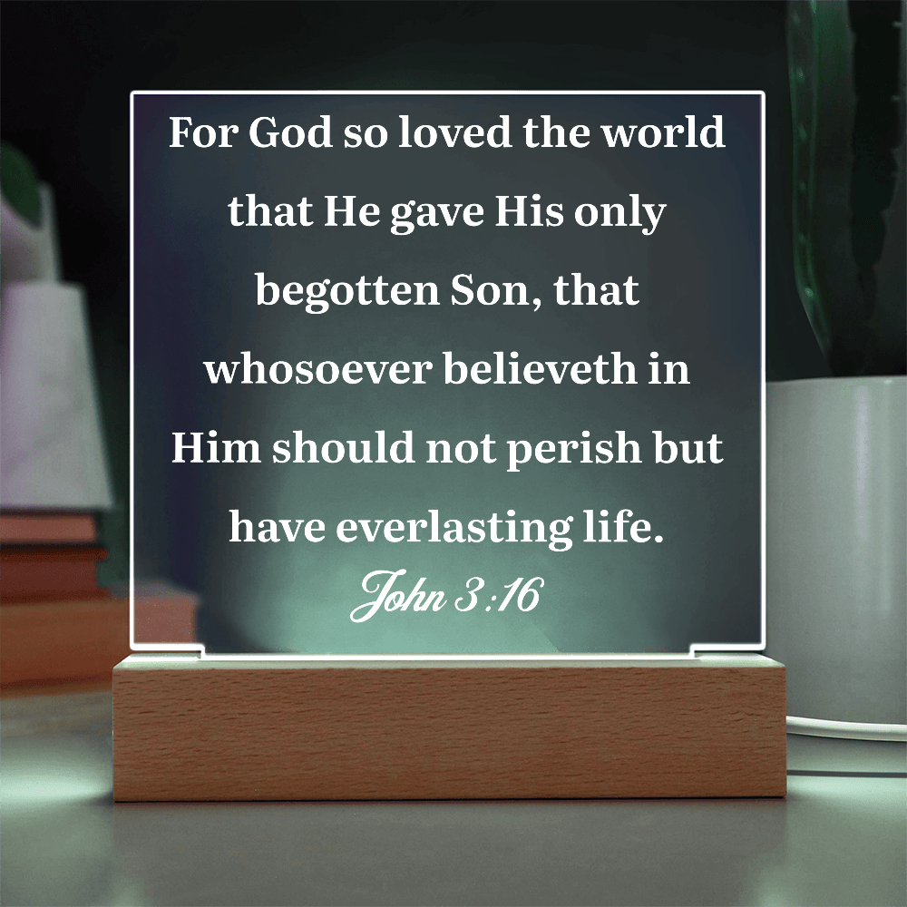ShineOn Fulfillment Jewelry John 3:16 - Acrylic Plaque - GHR1078