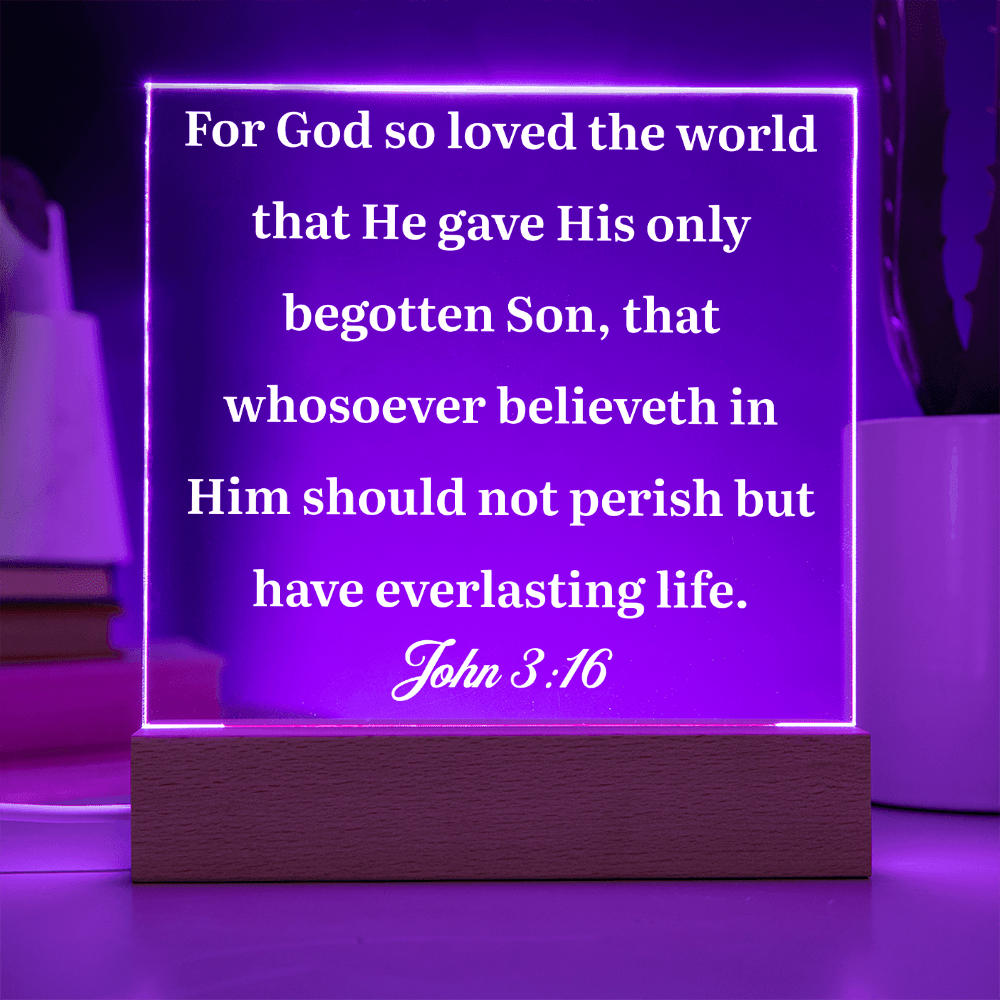 ShineOn Fulfillment Jewelry John 3:16 - Acrylic Plaque - GHR1078