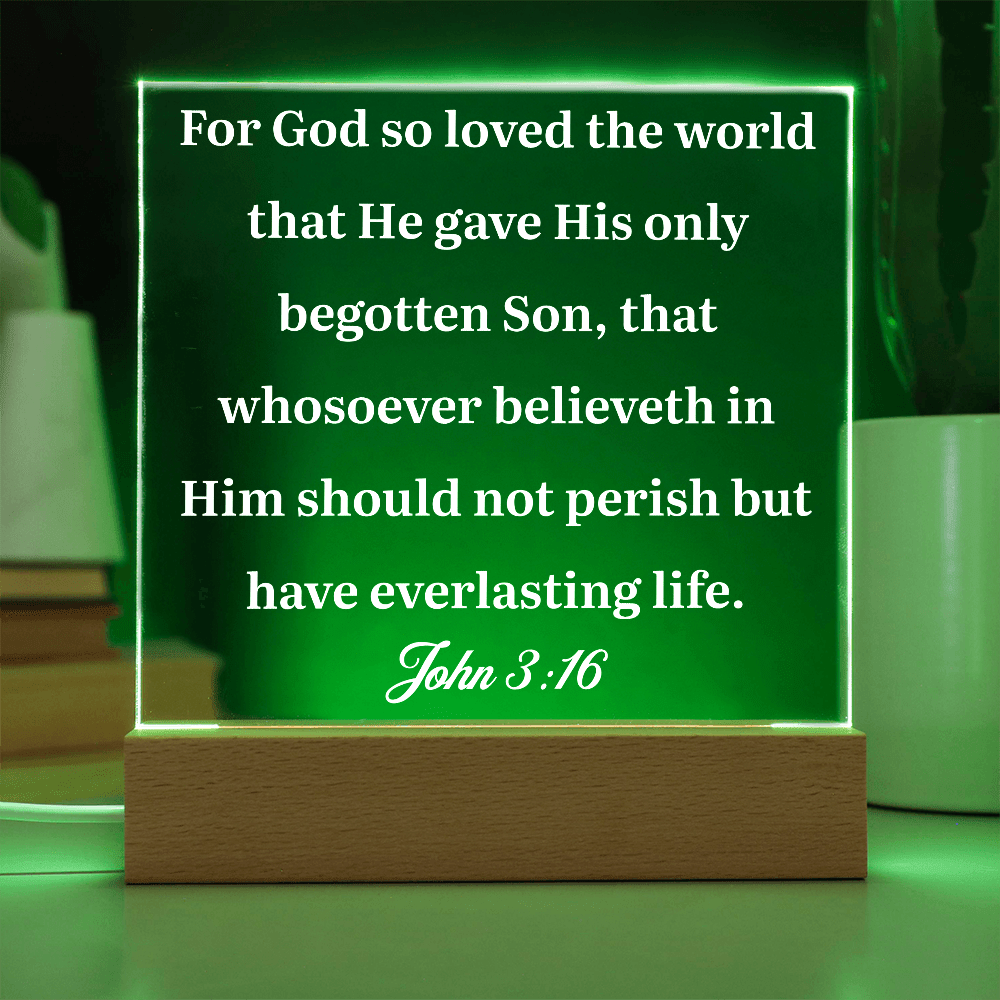 ShineOn Fulfillment Jewelry John 3:16 - Acrylic Plaque - GHR1078